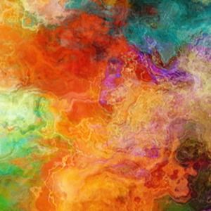 Meet your Posher, Amelia